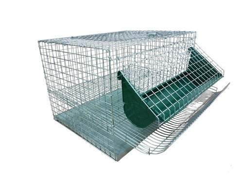 Gabbia per quaglie ovaiole