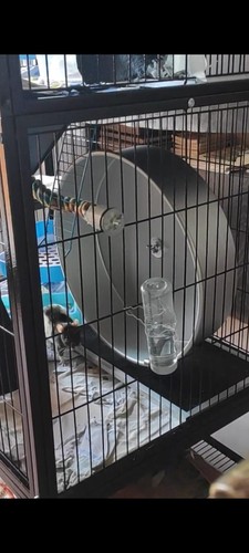Ruota per esercizi piantana - ruota,