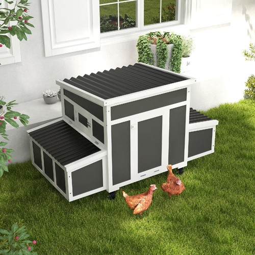 Allmypets pollaio legno da - allmypets,
