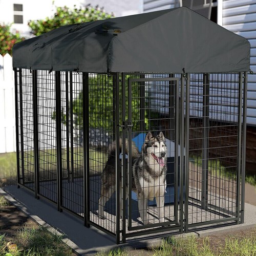 Gabbia per cani xxl acciaio - xxl,